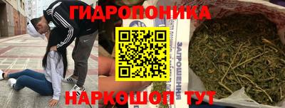 гашик Бузулук