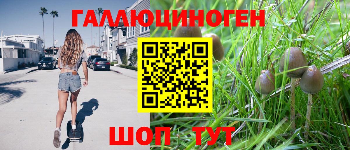 Галлюциногенные грибы ЛСД  Вход с VPN  как найти наркотики  Курчатов 