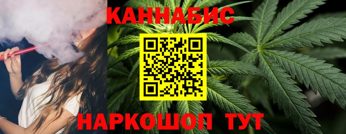 Канабис сатива Курчатов